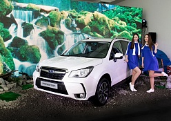 Презентация